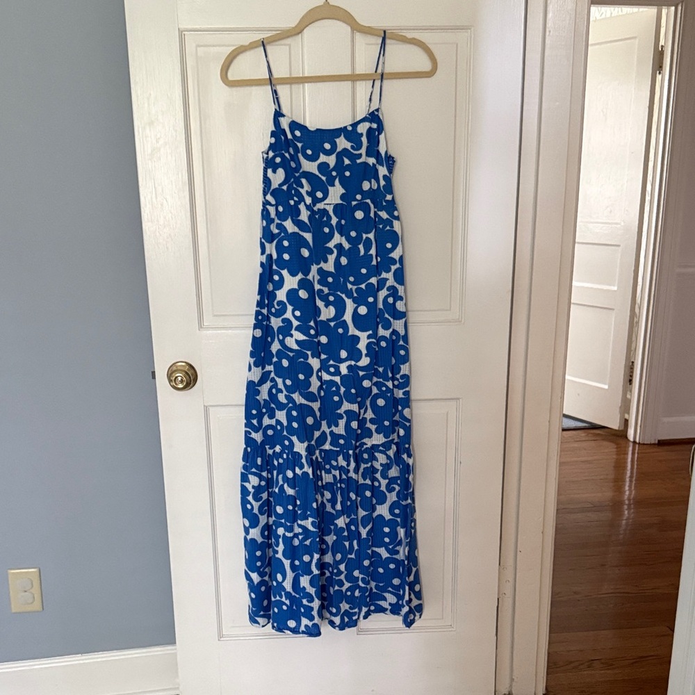 XiRENA Blue and White Floral-Print Maxi Dress